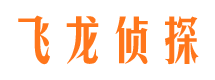 红安侦探公司